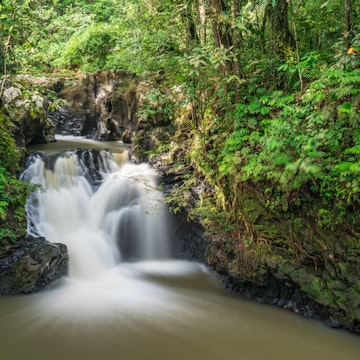 Long exposure of a waterfall in the rainforest at Tawau Hills Park.