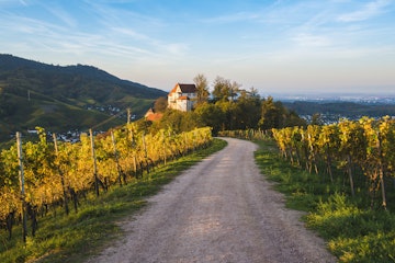 Vineyards and Staufenberg Castle in Durbach.