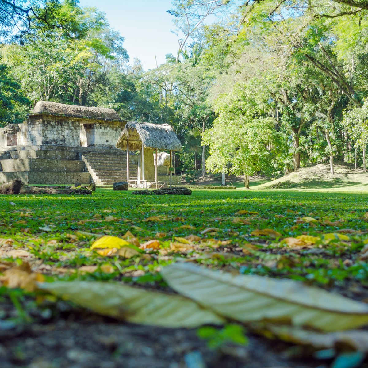 Templo Maya el Ceibal Peten, Guatemala; Shutterstock ID 1029397006; your: Bridget Brown; gl: 65050; netsuite: Online Editorial; full: POI Image Update