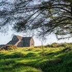 Forest Hellfire Club in Dublin - Ireland. Walking in the middle of the woods and enjoying the sunrise by the trees; Shutterstock ID 2061453605; your: Claire Naylor; gl: 65050; netsuite: Online Ed; full: Ghost tour Dublin