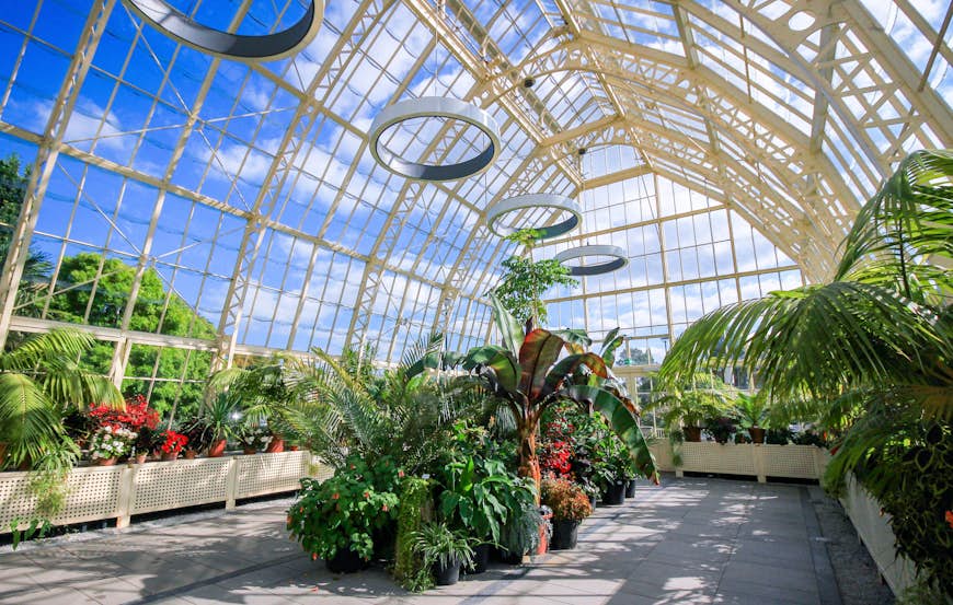 The interior of a glass house in a botanic garden, with tropical plants growing everywhere