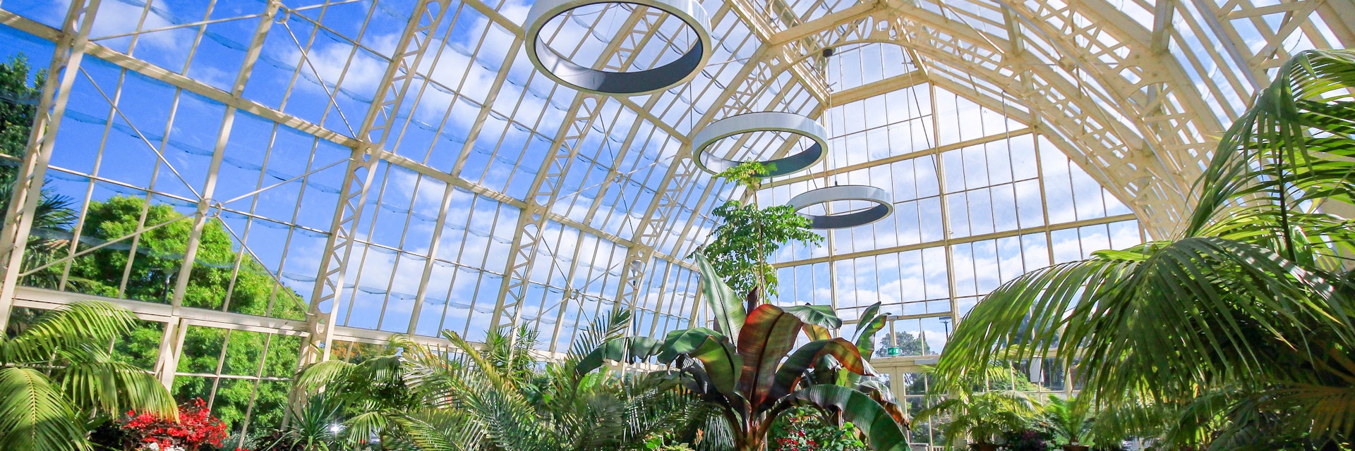 DUBLIN, IRELAND - AUGUST 4, 2018: Wide Angle View of the interior of a glasshouse of The National Botanic Gardens in Dublin, Ireland in a sunny day with blue sky.