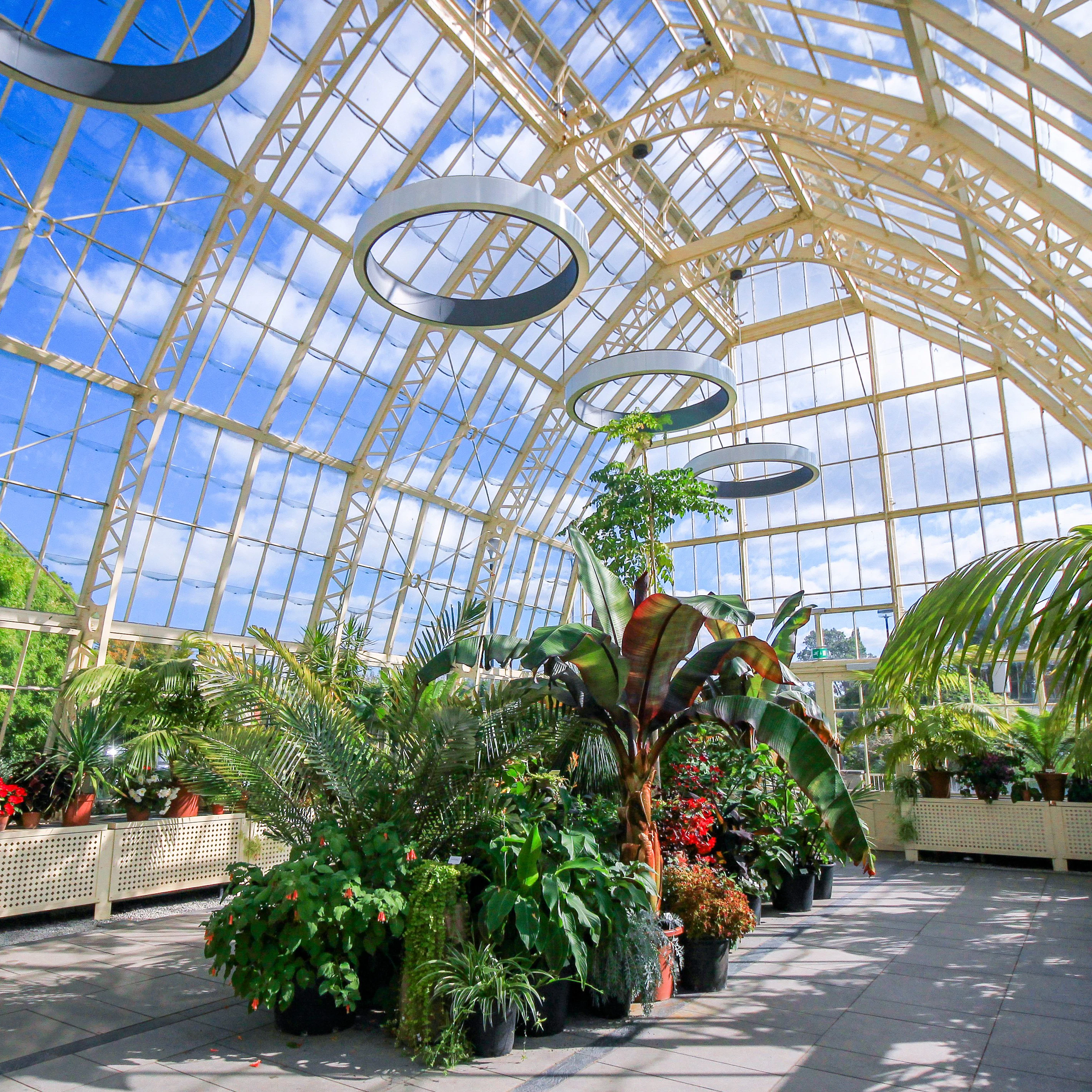 DUBLIN, IRELAND - AUGUST 4, 2018: Wide Angle View of the interior of a glasshouse of The National Botanic Gardens in Dublin, Ireland in a sunny day with blue sky.