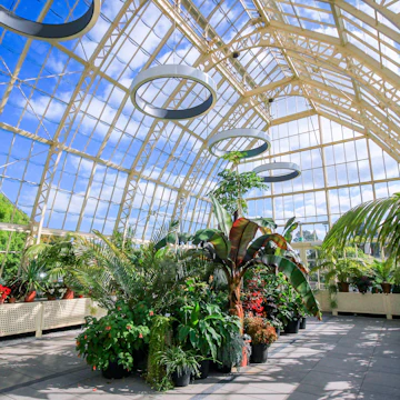 DUBLIN, IRELAND - AUGUST 4, 2018: Wide Angle View of the interior of a glasshouse of The National Botanic Gardens in Dublin, Ireland in a sunny day with blue sky.