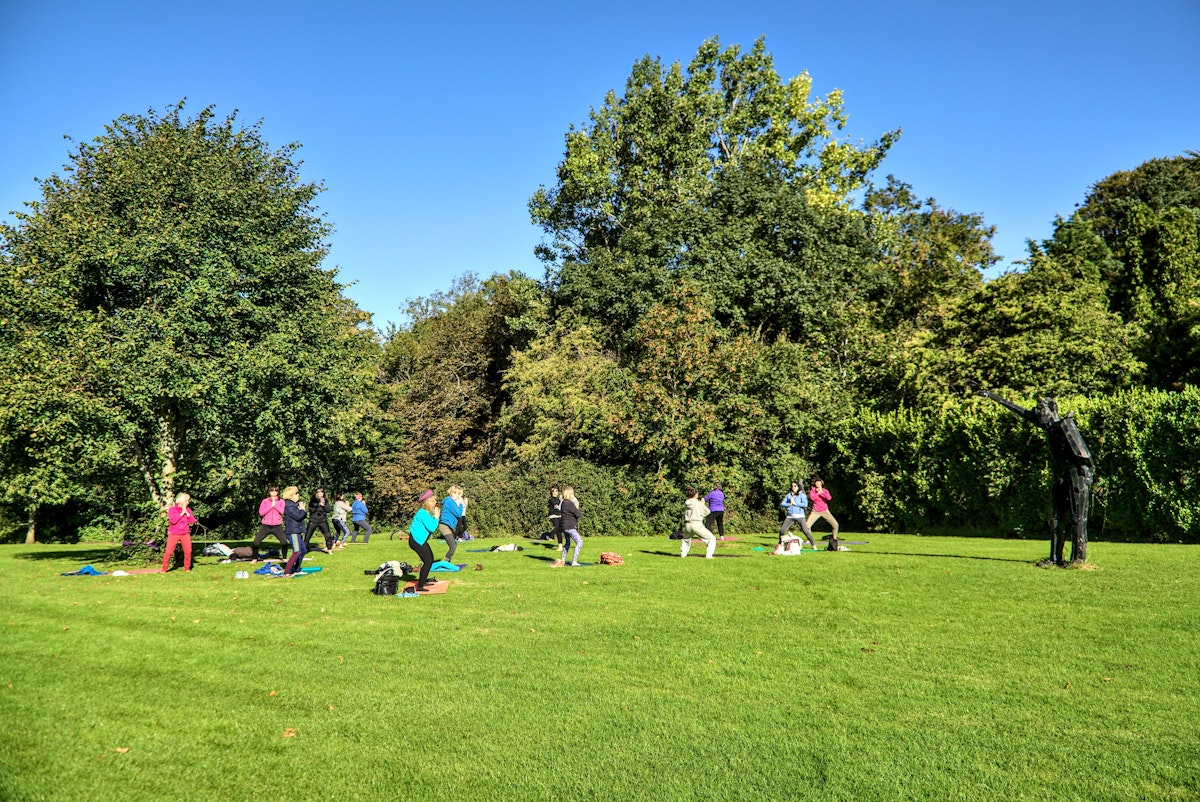 Dublin, Ireland - Sept 26, 2020: Big group of adult people attending outdoor class, practicing social distancing and exercising yoga outside on lawn on sunny warm autumn day in Marlay Park. Lifestyle; Shutterstock ID 1901169343; your: Bridget Brown; gl: 65050; netsuite: Online Editorial; full: POI Image Update