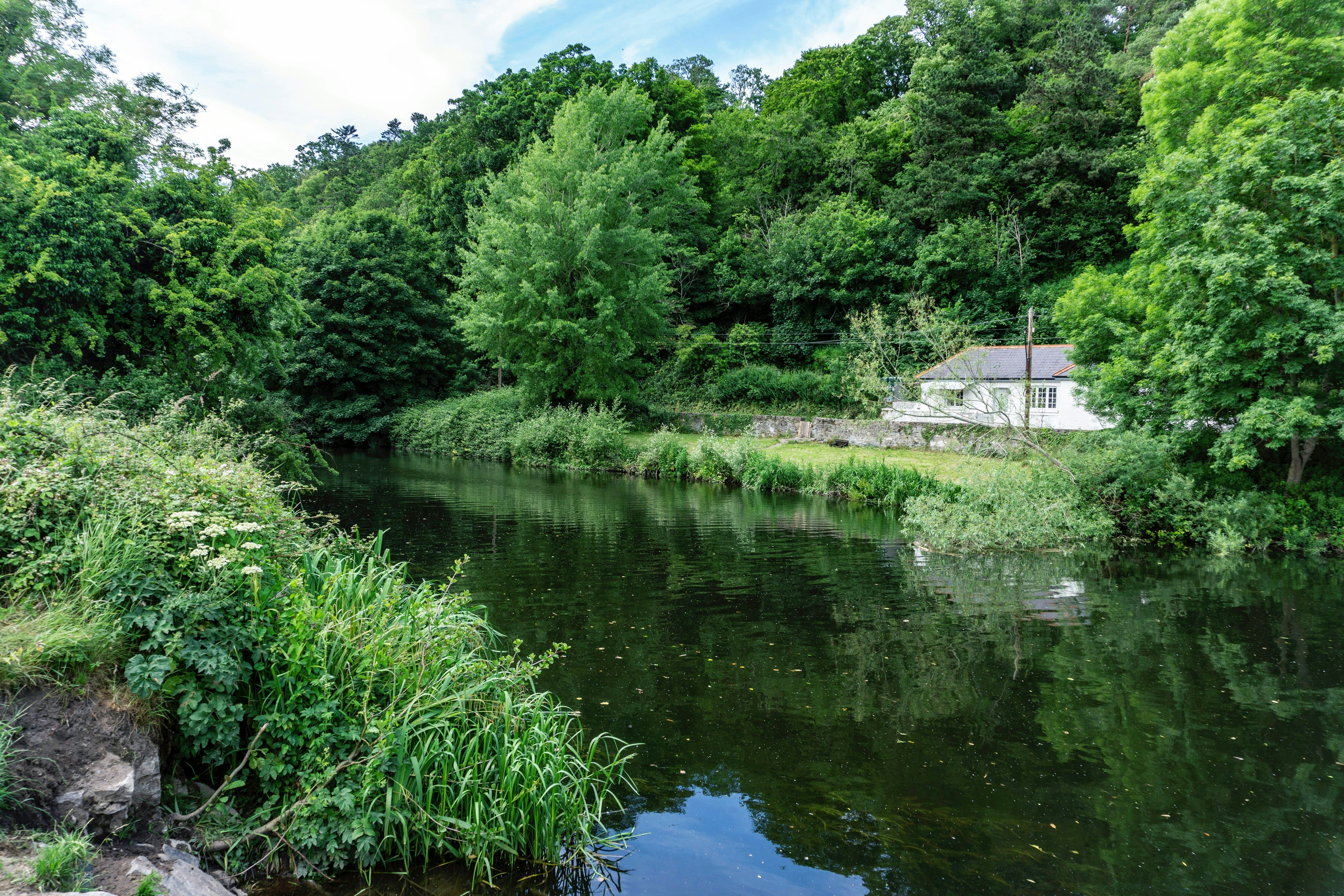 The River Liffey as it flows through the Strawberry Beds area of Chapelizod, Dublin, Ireland.