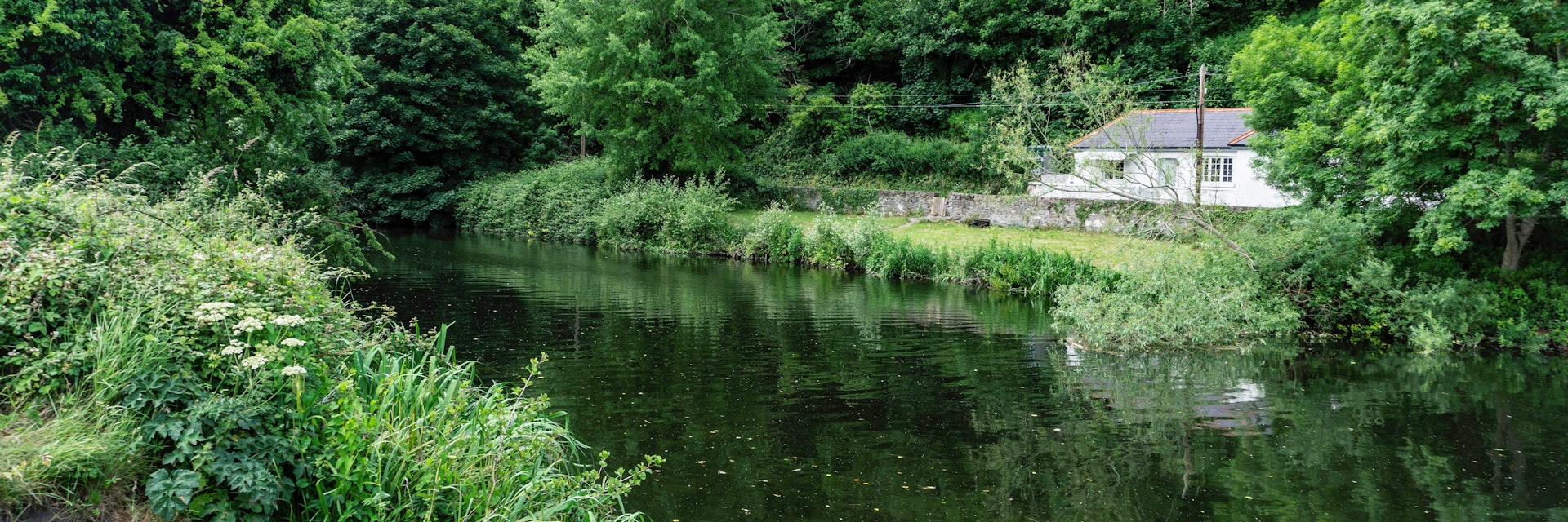 The River Liffey as it flows through the Strawberry Beds area of Chapelizod, Dublin, Ireland.