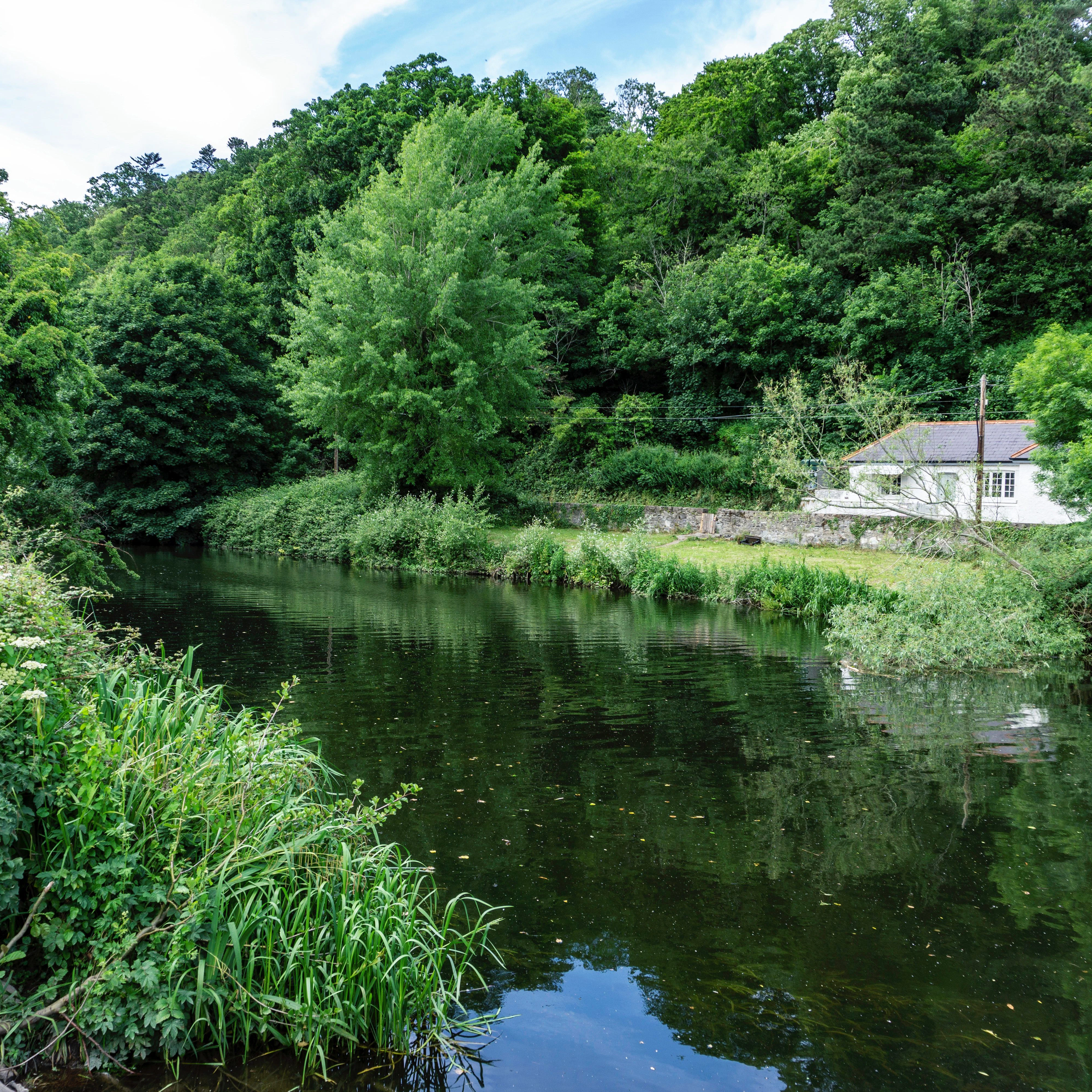 The River Liffey as it flows through the Strawberry Beds area of Chapelizod, Dublin, Ireland.