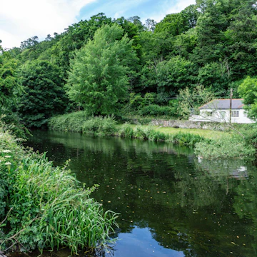 The River Liffey as it flows through the Strawberry Beds area of Chapelizod, Dublin, Ireland.