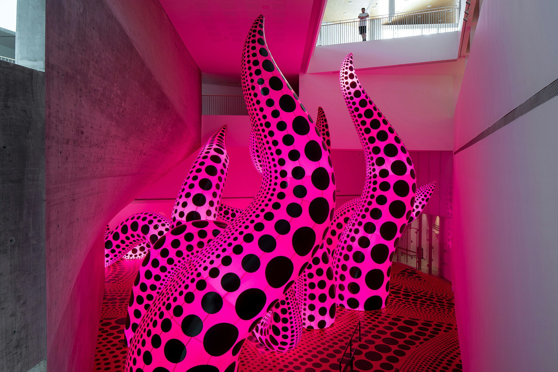 Bright pink tentacles with black polka dots at the Tel Aviv Museum of Art