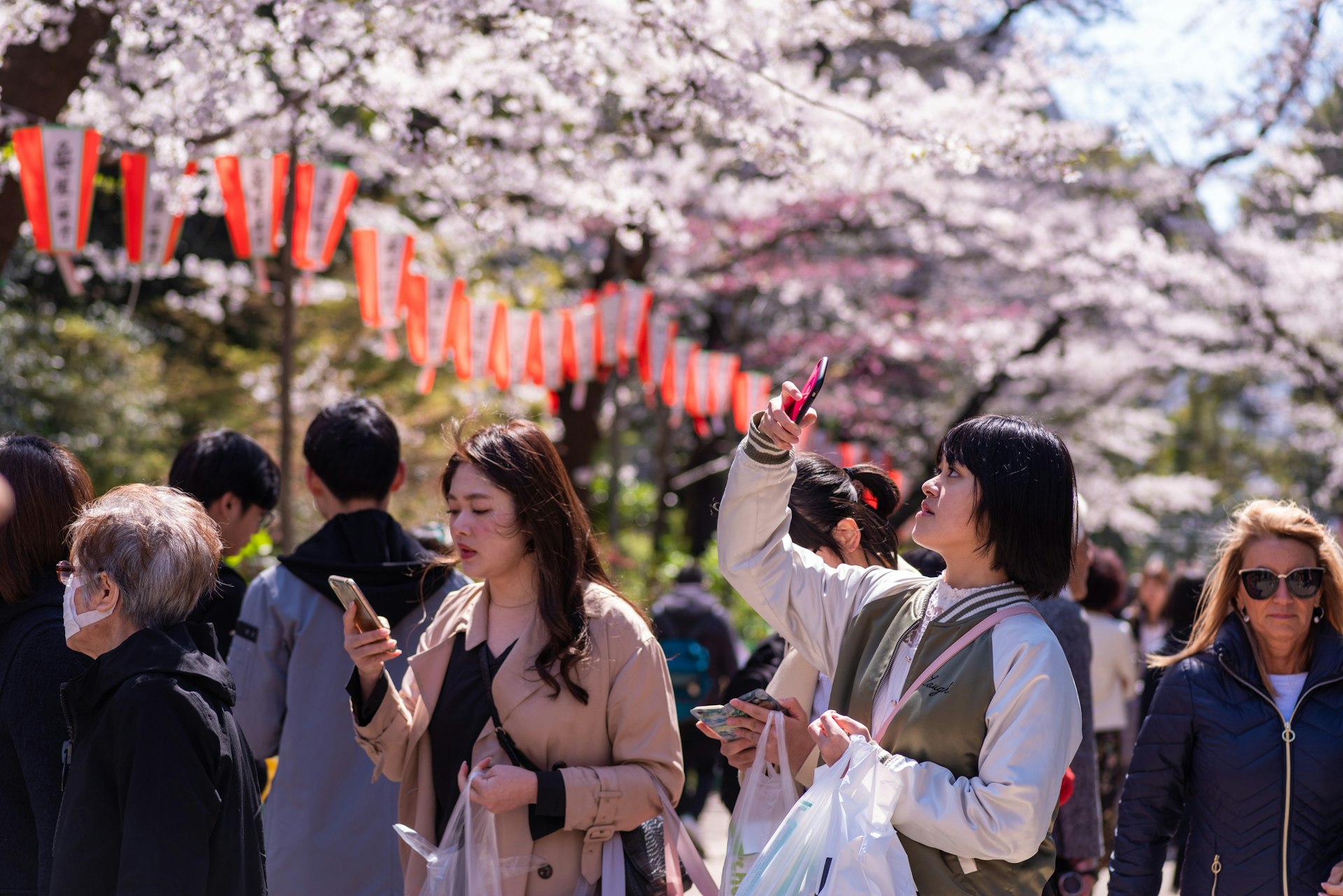 Japanese tourists admire cherry blossom in a park