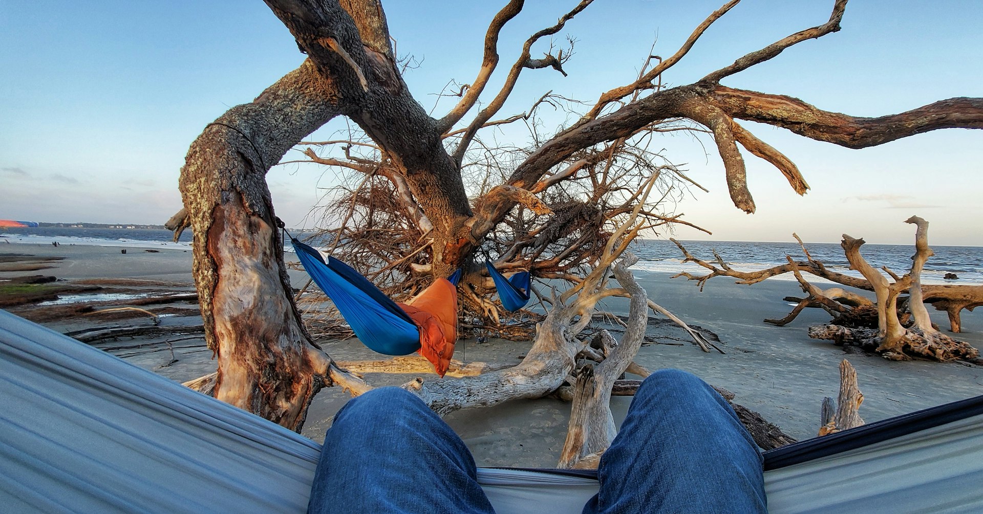 A pair of legs hang over the sides of a hammock. There are two more hammocks hanging off a gnarled tree on Jekyll Island. 