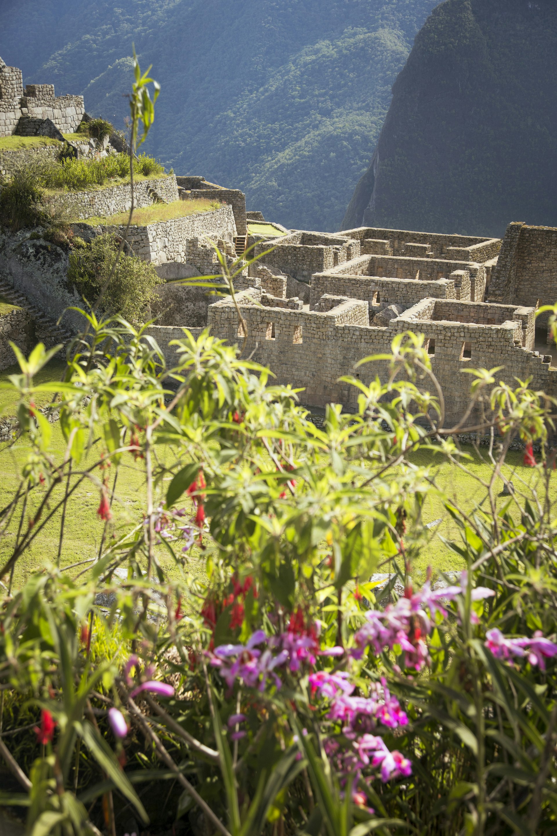 Ruins of residential quarters at Machu Picchu.