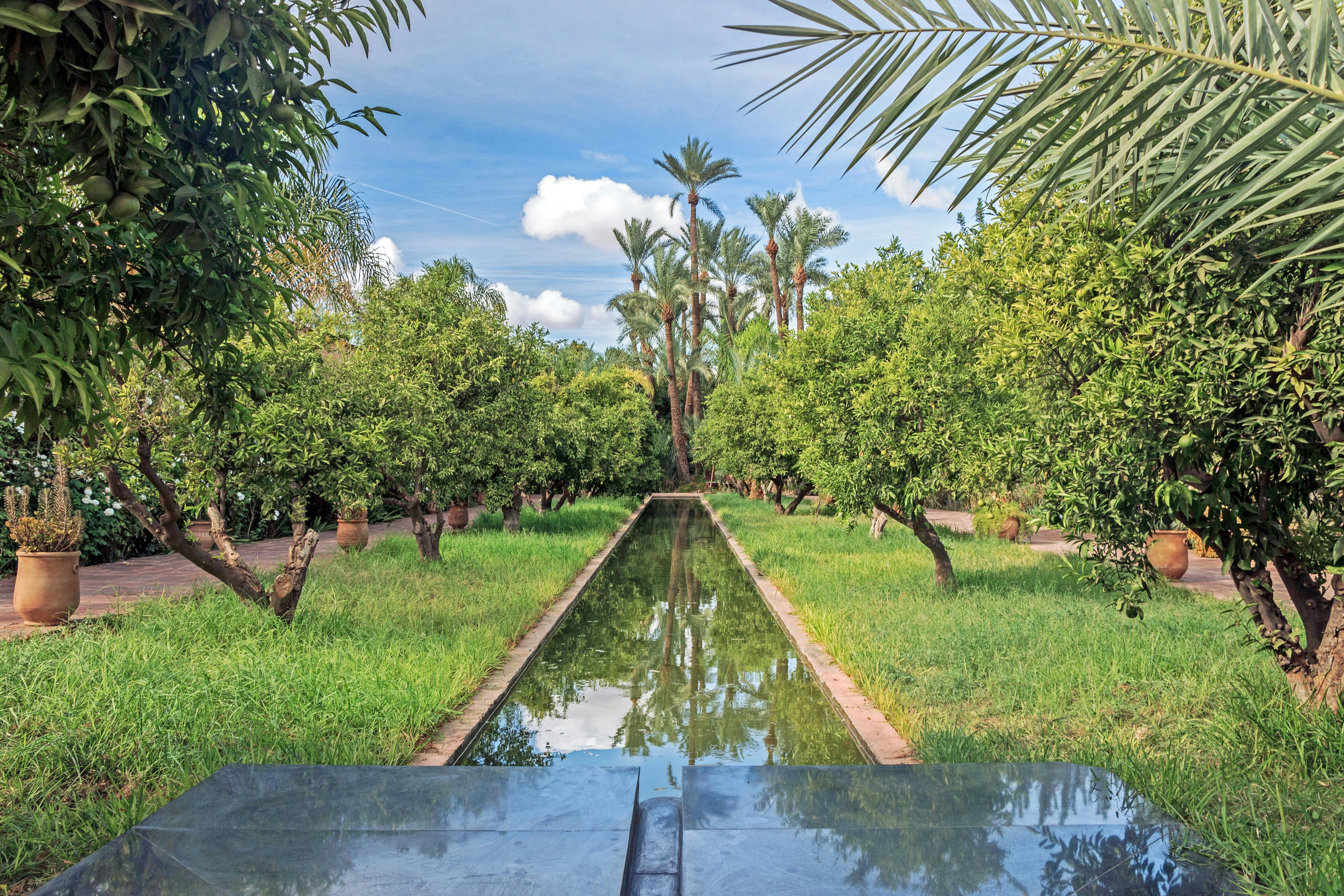 green plants in garden at Palmeraie museum in Morocco; Musée de la Palmeraie

 Shutterstock ID 777811729; your: Bridget Brown; gl: 65050; netsuite: Online Editorial; full: POI Image Update