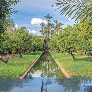 green plants in garden at Palmeraie museum in Morocco; Musée de la Palmeraie
Shutterstock ID 777811729; your: Bridget Brown; gl: 65050; netsuite: Online Editorial; full: POI Image Update