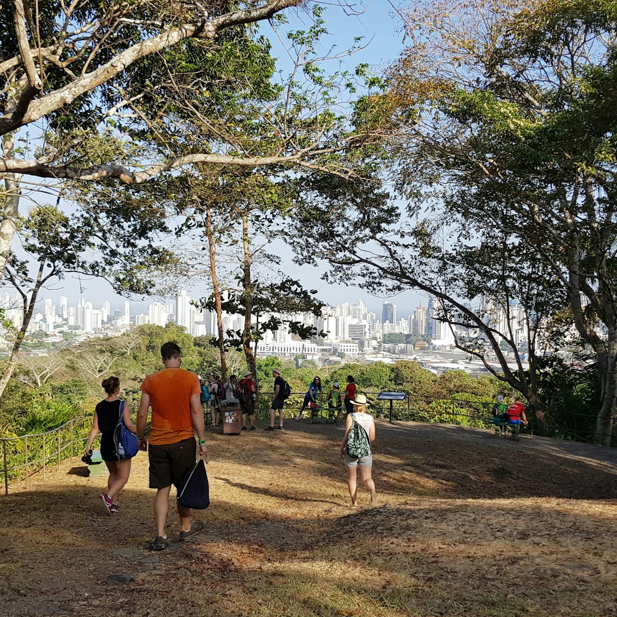 Panama City, Panama - 01/25/2019 People walking towards a view point in the Metropolitan Park in Panama City from which you can see the skyline of the city on a nice and sunny summer day.
Parque Natural Metropolitano
