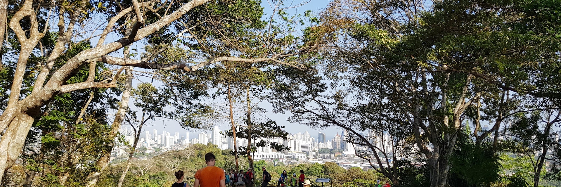 Panama City, Panama - 01/25/2019 People walking towards a view point in the Metropolitan Park in Panama City from which you can see the skyline of the city on a nice and sunny summer day.
Parque Natural Metropolitano