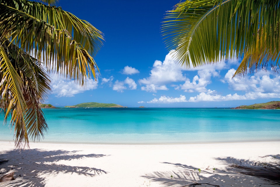 palm trees at Playa Tortuga (Turtle Beach) on Isla Culebrita, Puerto Rico