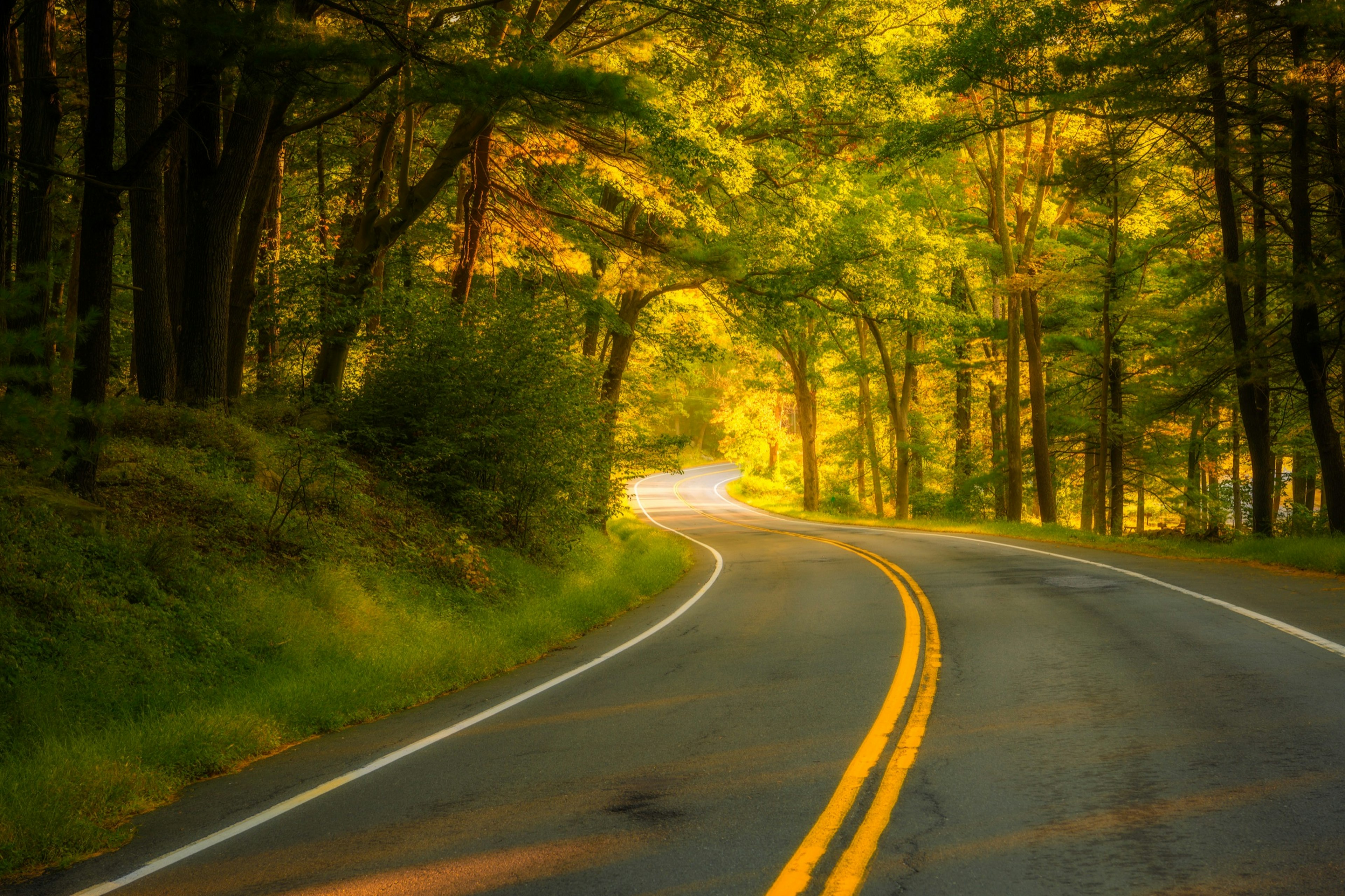 Sunlight peeks through trees flanking a two-lane Seven Lakes Drive in the Hudson Valley.