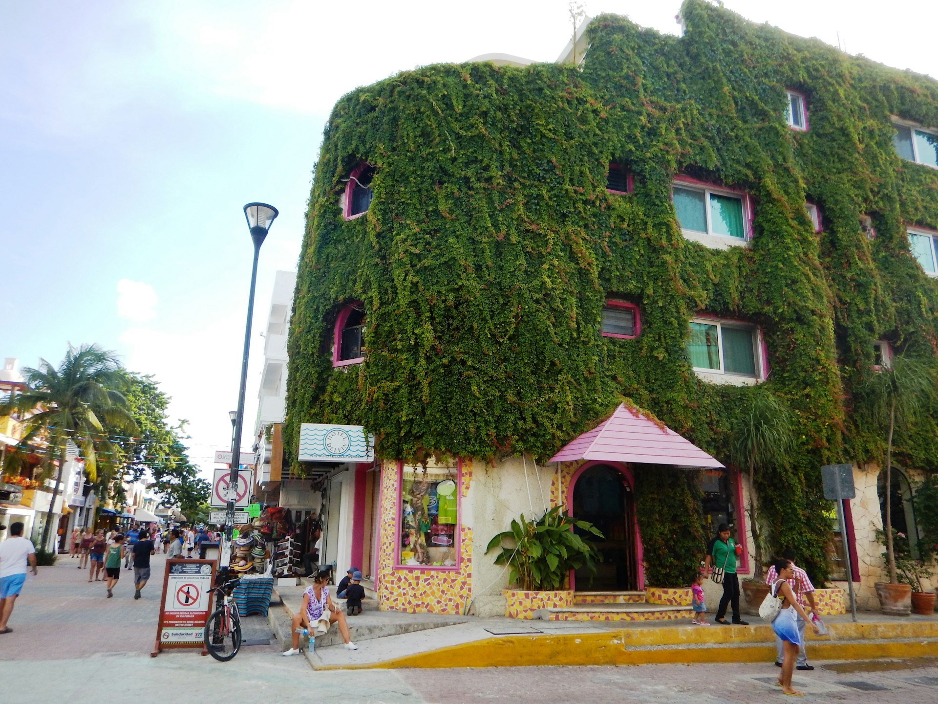 Outside image of a Playa del Carmen street with a vine covered building