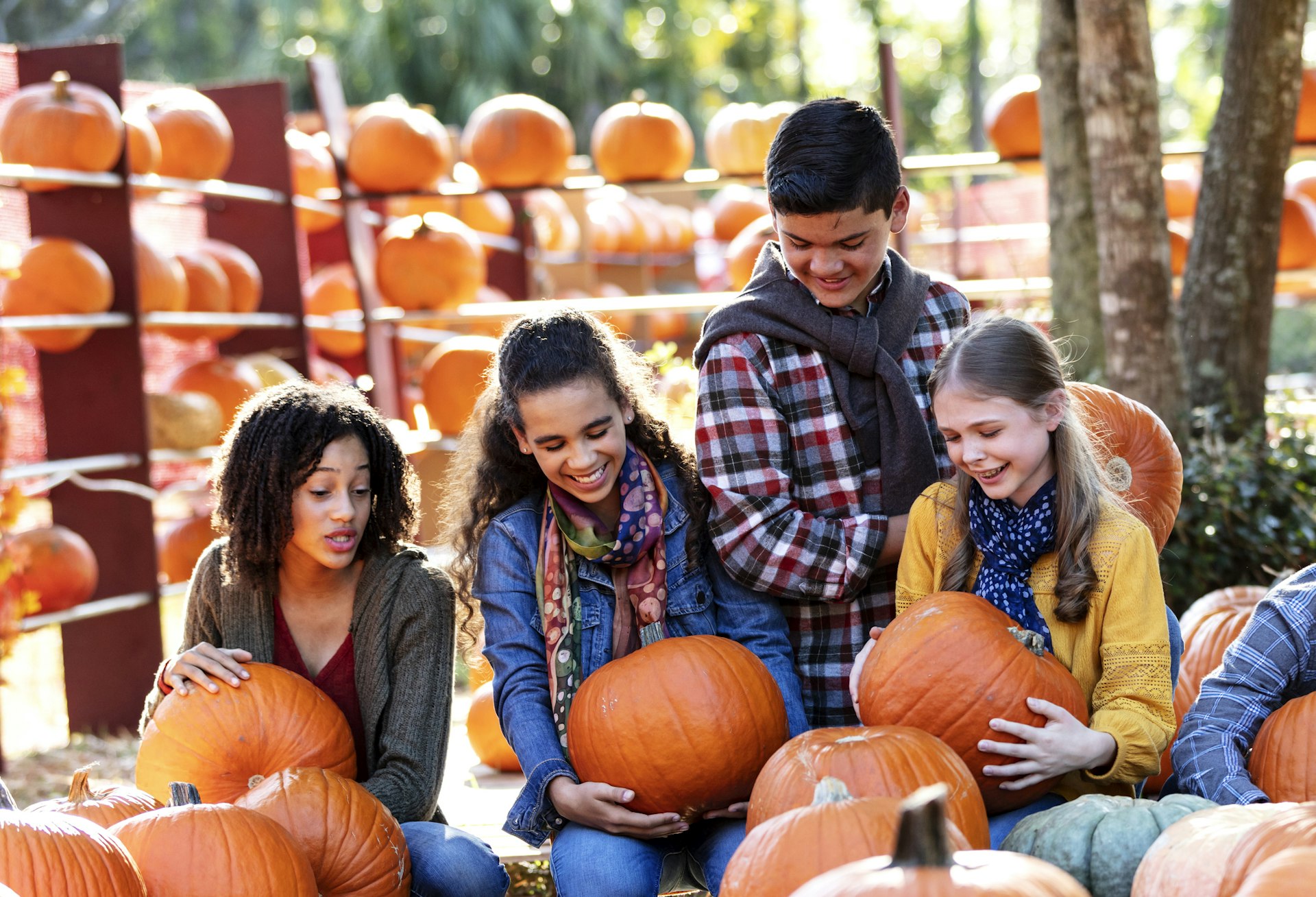 Four pre-teen children having fun at pumpkin patch