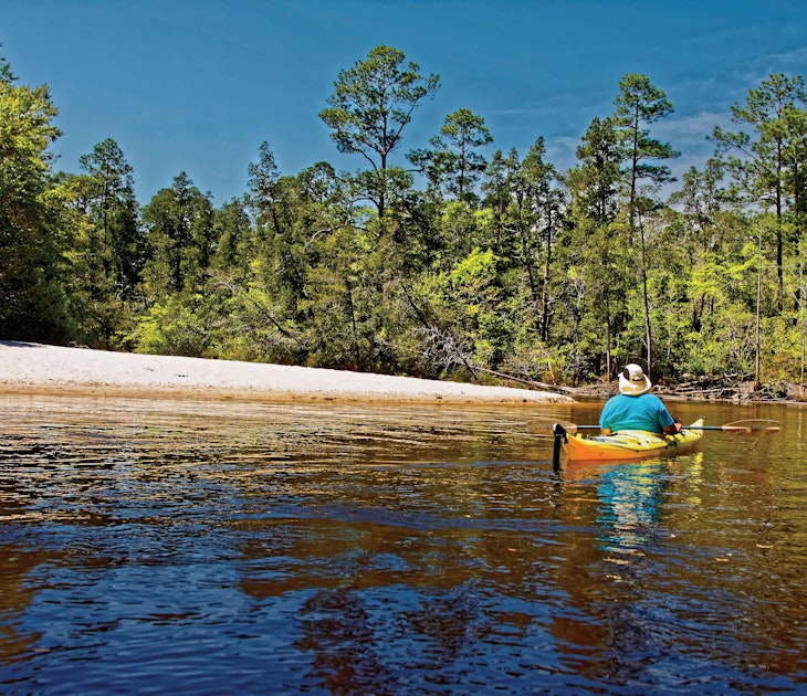 river scene, man kayaking, sand beach, curve, trees, peaceful, recreation, sport, Blackwater River State Park, Holt, FL, Florida; horizontal, MR, Caption: Despite its name Blackwater, or the original Oka-lusa (water black) in the Muscogee language, the Blackwater River is normally a transparent golden-brown when seen against the white sandbars. Most of the stream flows through undeveloped lands of the Blackwater State Forest and Blackwater River State Park, core areas of the largest contiguous longleaf pine/wiregrass ecosystem left in the world, one described as being rarer than a tropical rainforest. Water seeping from this forest is as pure as it comes, merely tinted with tannins from leaves and roots of shoreline vegetation. Canoeing, kayaking, camping and picnicking are popular activities in the park along with strolling along forested nature trails.