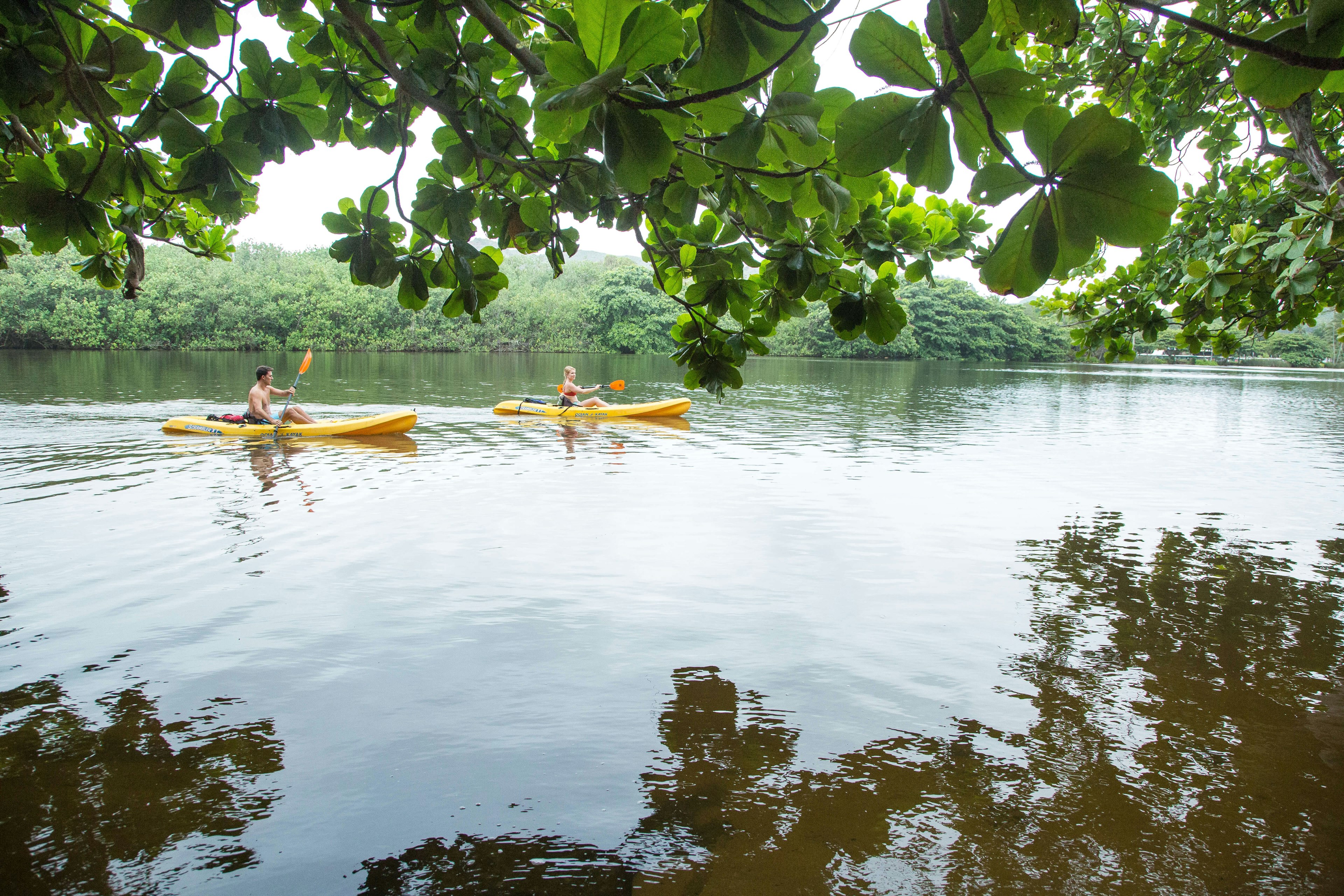 Man and woman kayaking on the Wailua River in Kauai