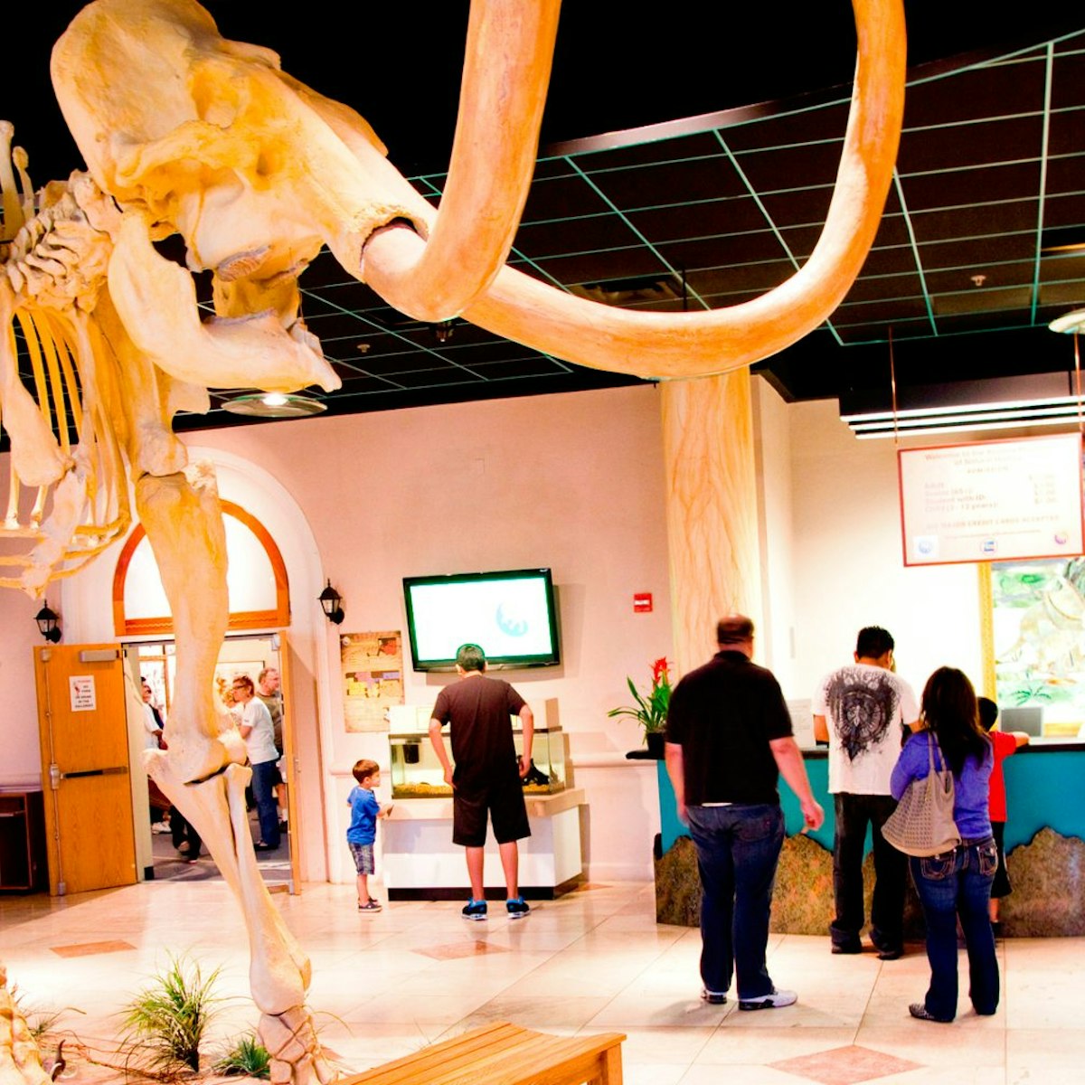 There are dinosaurs and more at Arizona Museum of Natural History -- the only museum of its kind in the great Phoenix area, Mesa, AZ, USA