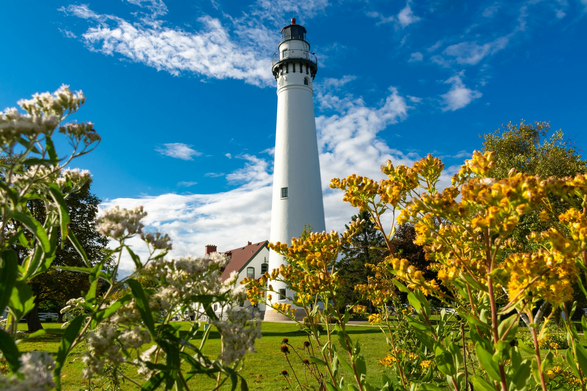 The whitewashed Wind Point Lighthouse heads towards a bright blue sky with some foliage in the foreground