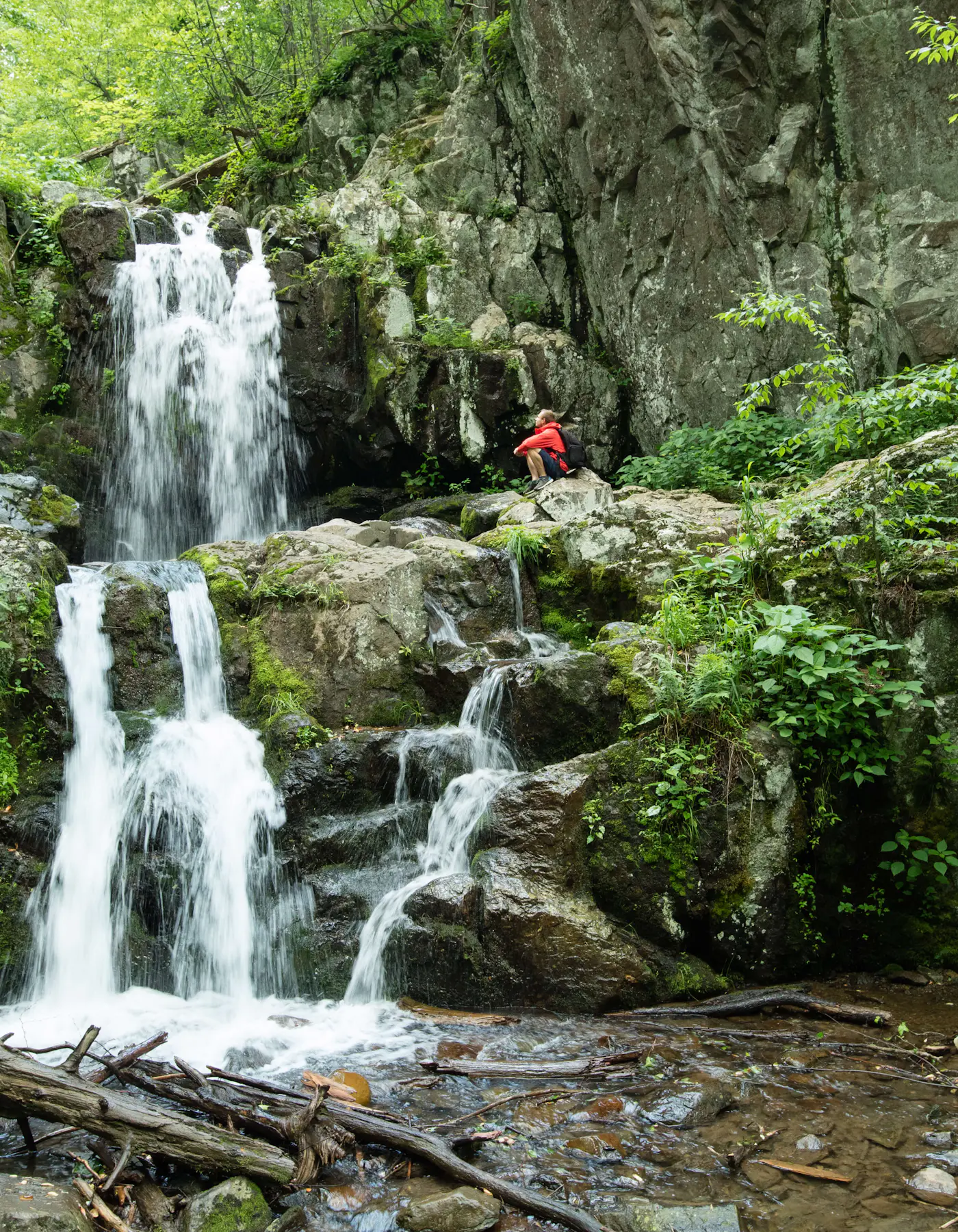 11 of the best free things to do in Virginia - Lonely Planet