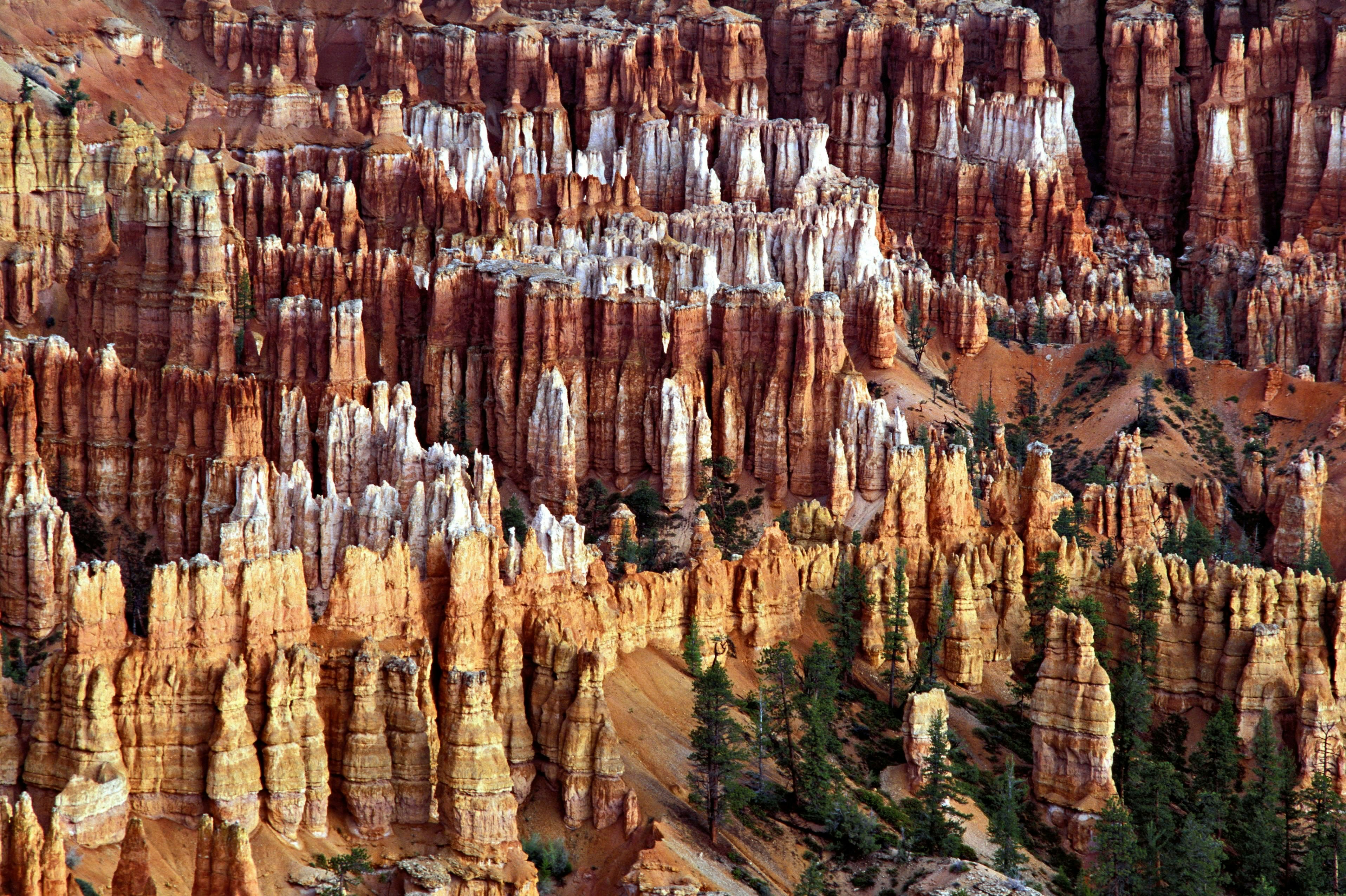 HOODOS, PINNACLES AND SPORES, DIFFERENTIAL EROSION. LIMESTONE SEDIMENTARY ROCK. BRYCE CANYON, UTAH. BRYCE POINT