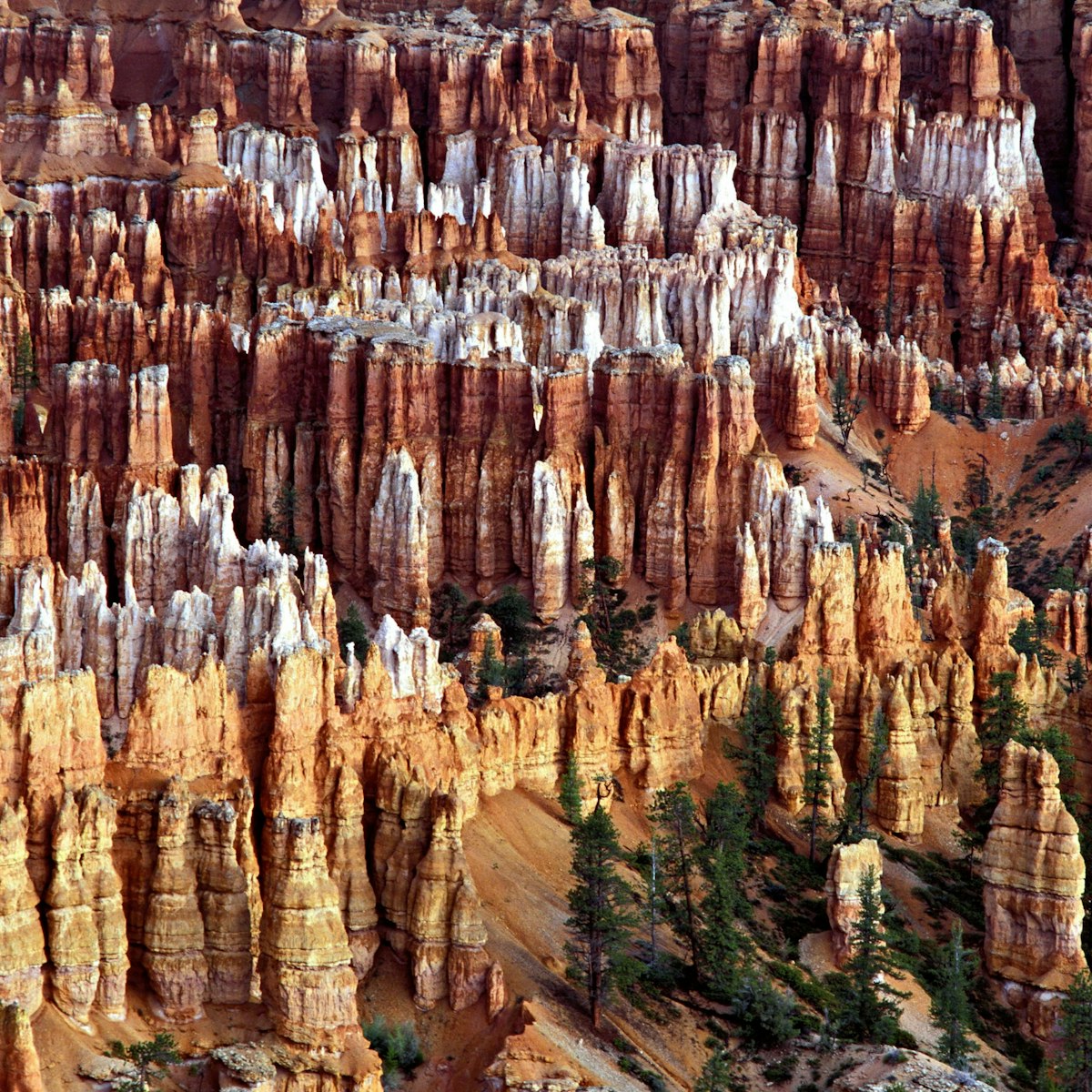 HOODOS, PINNACLES AND SPORES, DIFFERENTIAL EROSION. LIMESTONE SEDIMENTARY ROCK. BRYCE CANYON, UTAH. BRYCE POINT