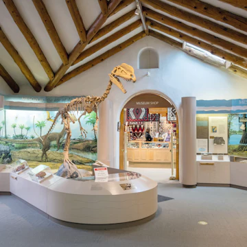 Flagstaff, Arizona, United States of America - January 5, 2017. Interior view of the Museum of Northern Arizona in Flagstaff, with dinosaur skeleton and exhibits.