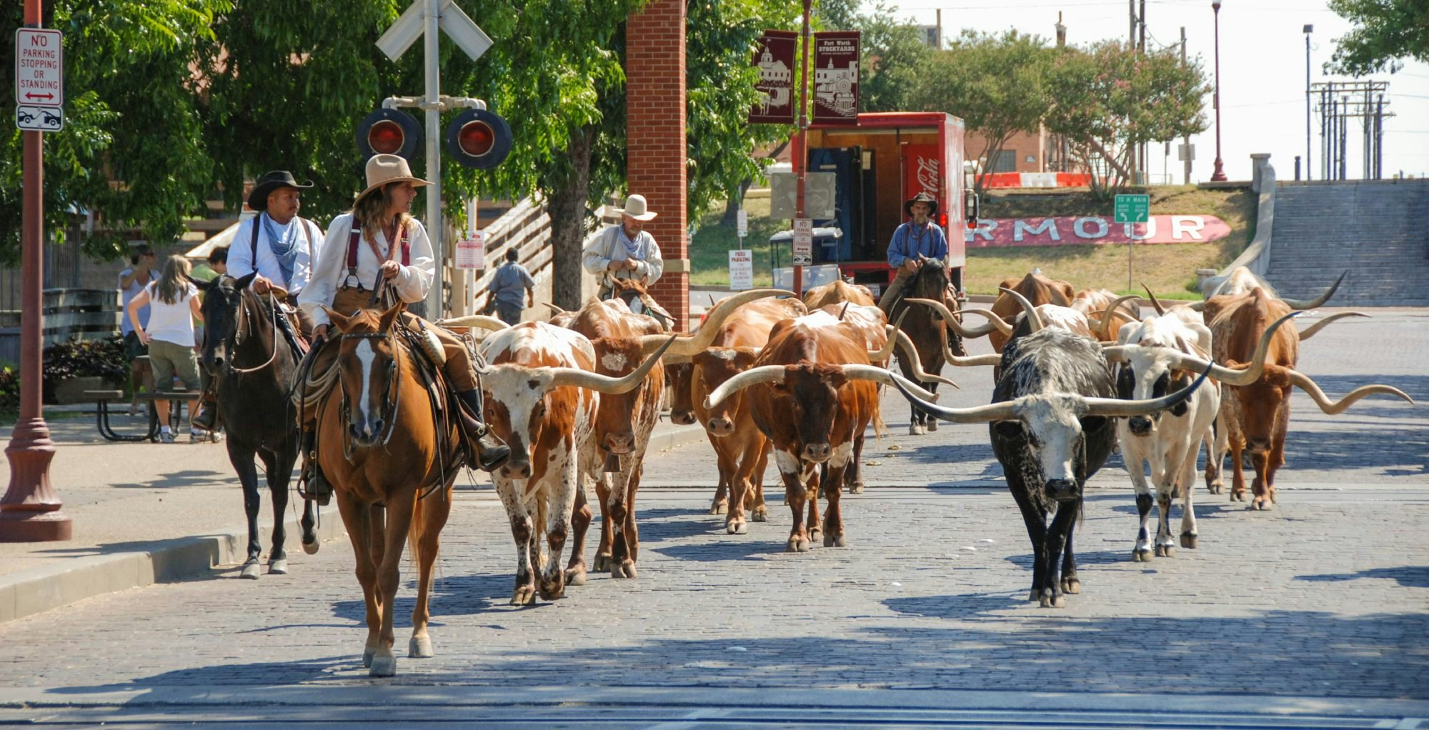 Parade of cowboys and steer cattle in the Fort Worth Stockyards in Texas - stock photo
Fort Worth, Texas - September 2009: A herd of cattle parading through the Fort Worth Stockyards accompanied by cowboys on horseback