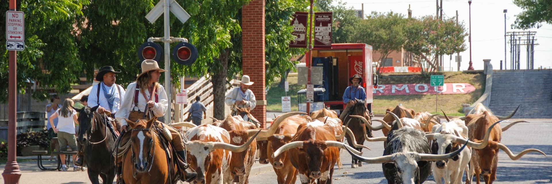 Parade of cowboys and steer cattle in the Fort Worth Stockyards in Texas - stock photo
Fort Worth, Texas - September 2009: A herd of cattle parading through the Fort Worth Stockyards accompanied by cowboys on horseback