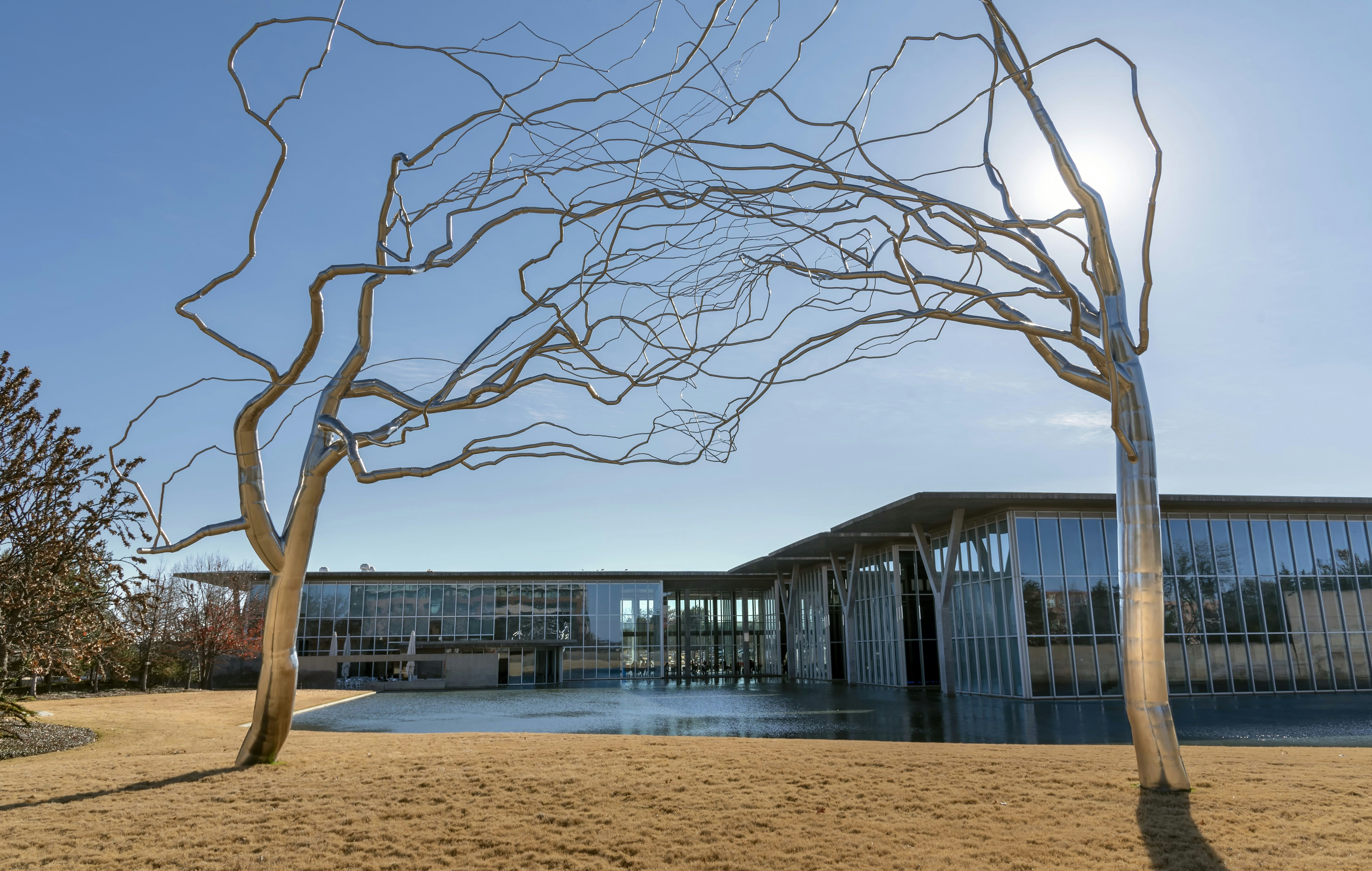 FORT WORTH, UNITED STATES - Dec 29, 2018: Roxy Paine Trees at Fort Worth Modern Art Museum  The stainless steel is bent into lifelike shapes  Also The museum and reflecting pond