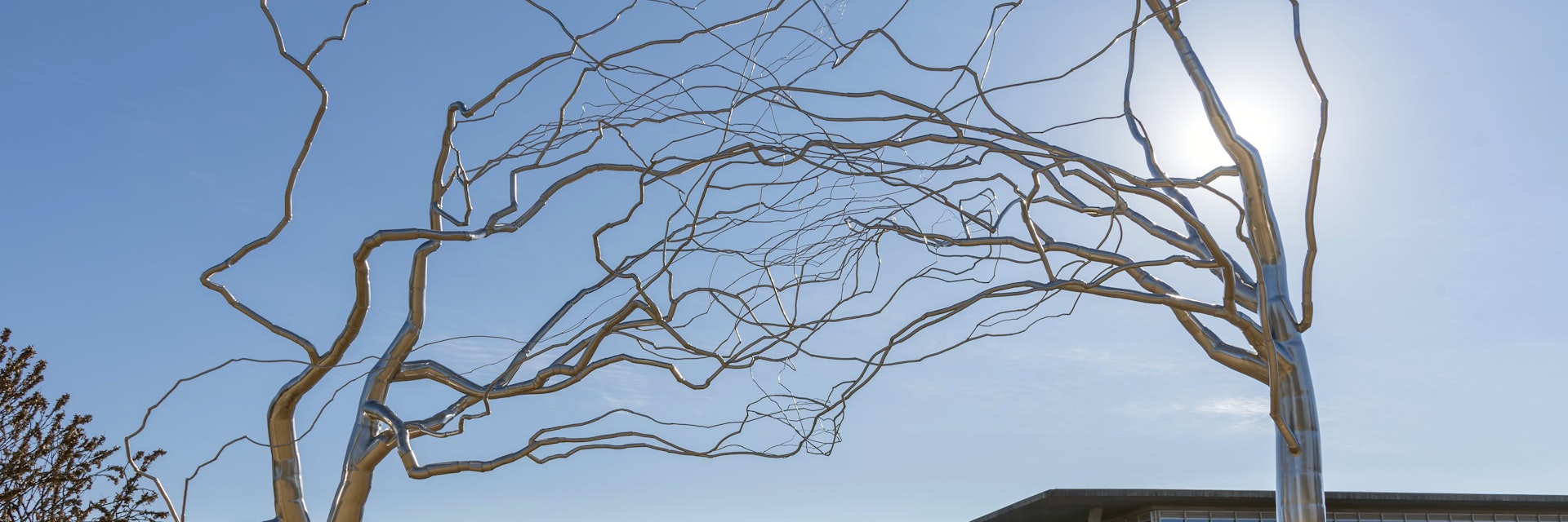 FORT WORTH, UNITED STATES - Dec 29, 2018: Roxy Paine Trees at Fort Worth Modern Art Museum  The stainless steel is bent into lifelike shapes  Also The museum and reflecting pond