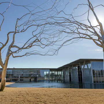 FORT WORTH, UNITED STATES - Dec 29, 2018: Roxy Paine Trees at Fort Worth Modern Art Museum The stainless steel is bent into lifelike shapes Also The museum and reflecting pond