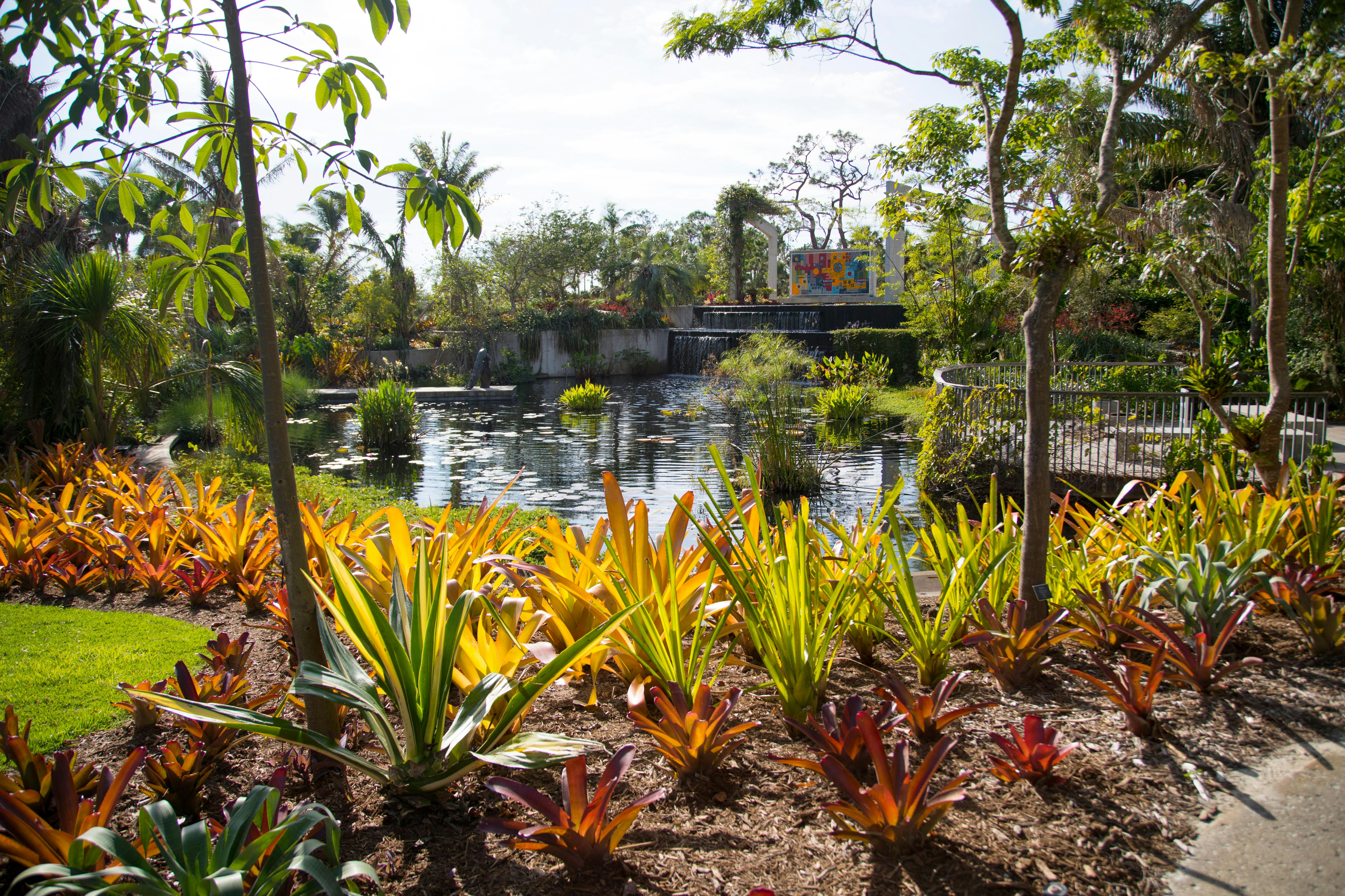 Botanical garden in Naples. Flowers landscape. Lili Ponds.