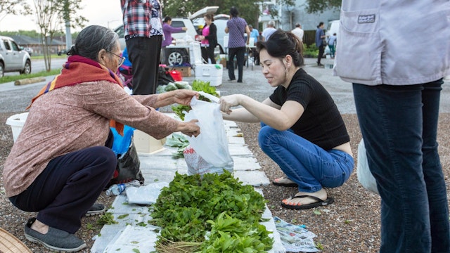 TB2MD0 New Orleans, Louisiana - A Vietnamese farmers market, held for a few hours early Saturday mornings in a parking lot in the city's Vietnamese community
