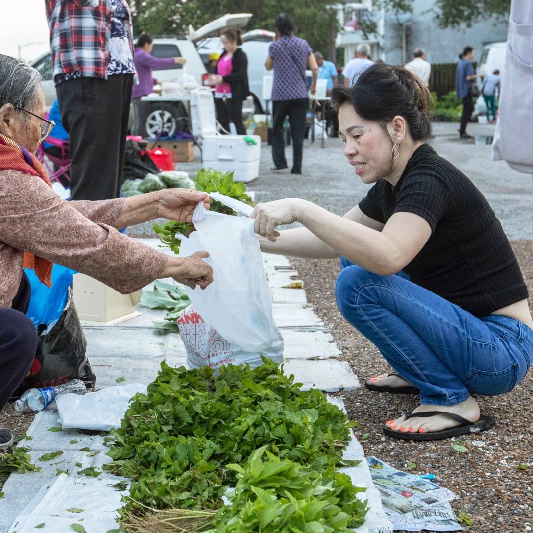 TB2MD0 New Orleans, Louisiana - A Vietnamese farmers market, held for a few hours early Saturday mornings in a parking lot in the city's Vietnamese community