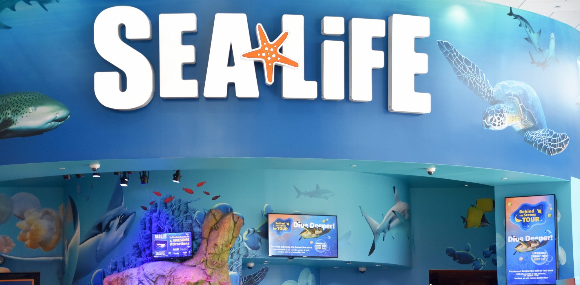 ORLANDO, FL – NOV 24: Sea Life Aquarium at ICON Park in Orlando, Florida, as seen on Nov 24, 2019.  It has family-friendly exhibits with a variety of sea creatures.; Shutterstock ID 1735080233; your: Bridget Brown; gl: 65050; netsuite: Online Editorial; full: POI Image Update