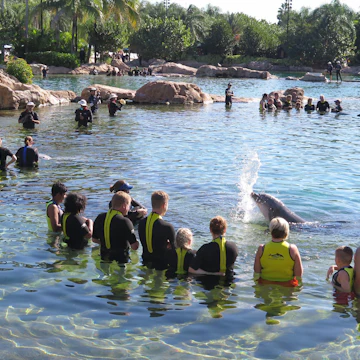 EABWK7 Discovery Cove, Orlando, Florida