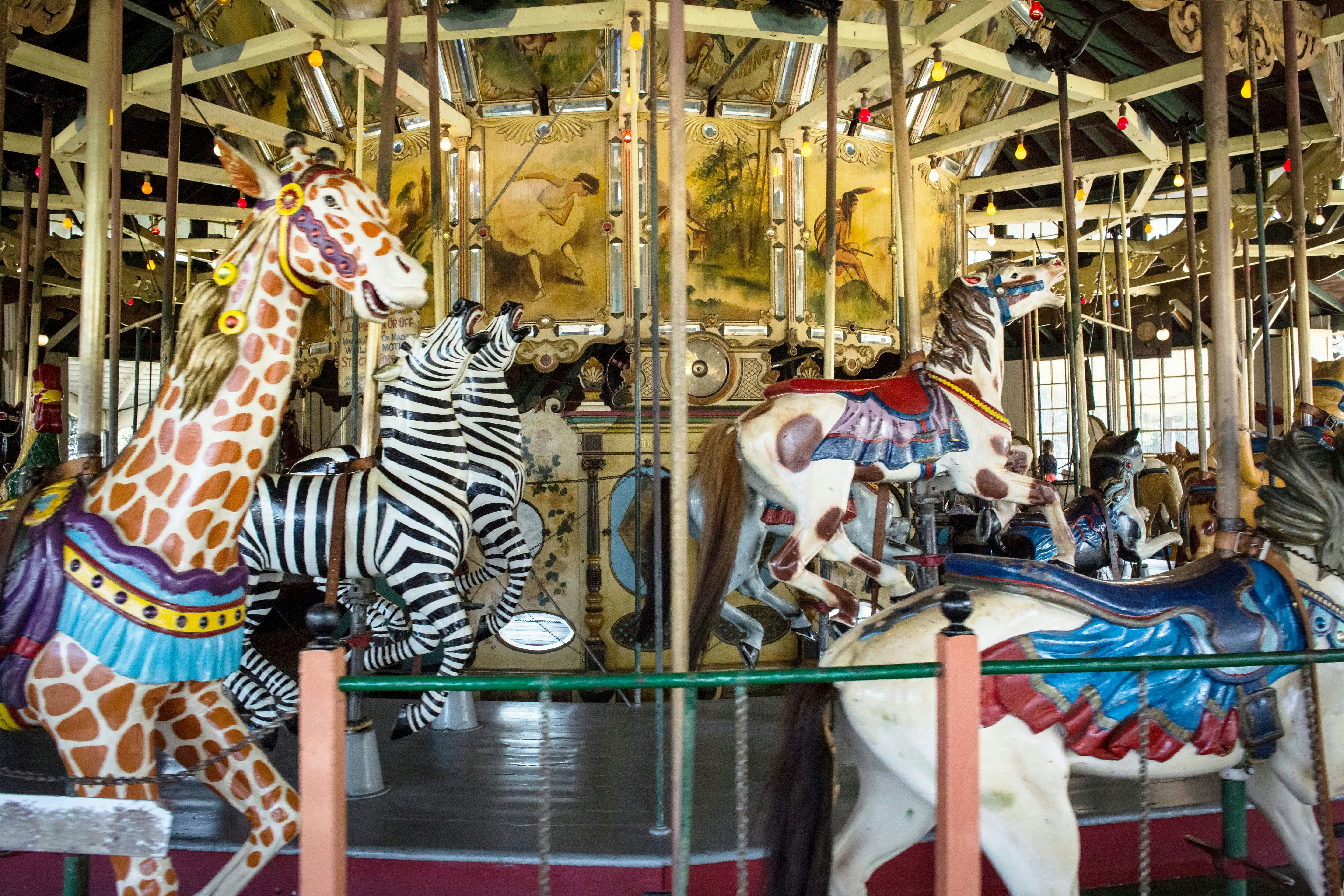 San Diego, California, USA – August 3, 2017: Horizontal view of the 1910 Balboa Park Carousel in motion ; Shutterstock ID 1365376670; your: Bridget Brown; gl: 65050; netsuite: Online Editorial; full: POI Image Update