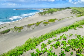 Stock photograph of a green grass field in Sigatoka Sand Dunes National Park on Viti Levu island, Fiji on a sunny day.