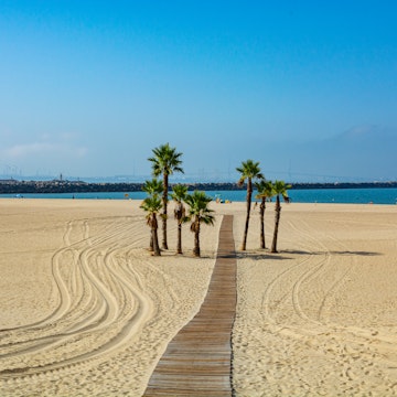 Beautiful local sandy beach with palm trees Playa de la Puntilla on Atlantic ocean in El Puerto de Santa-Maria, Andalusia, Spain