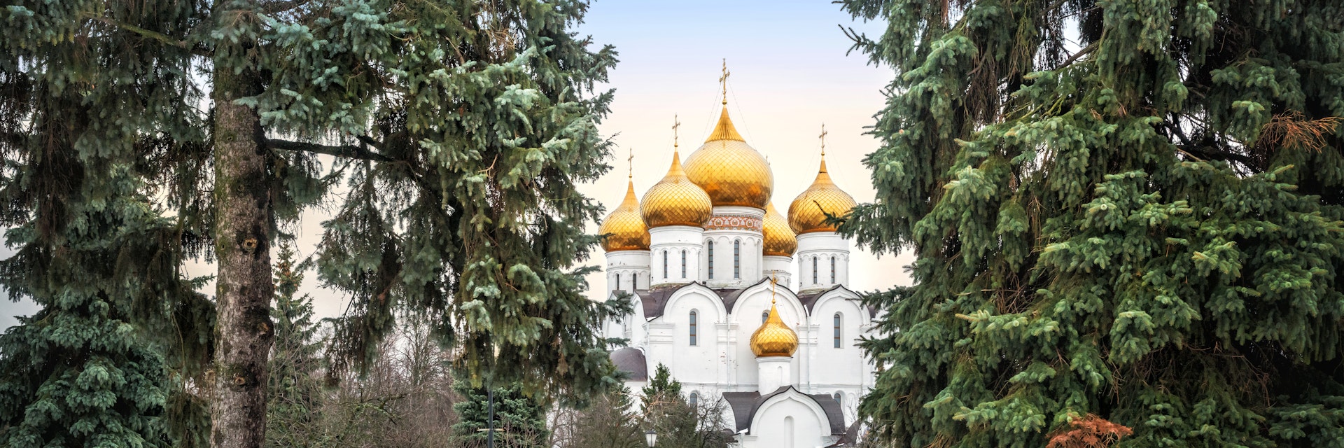 Golden-headed Assumption Cathedral in Yaroslavl among green fir trees on a cloudy winter day