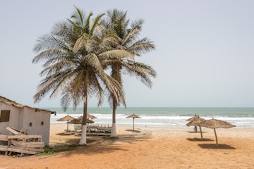 Palm trees and rustic umbrellas on a beach on the coast of Serekunda in Gambia