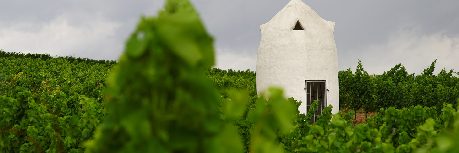 Rheinhessischer Trullo (vineyard shelter for the winemaker working in the vineyard) in case of approaching storm.