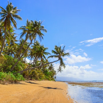 Stock photo of a gold sandy beach with palm trees at Hienghene Bay, Grande Terre Island, New Caledonia, South Pacific.